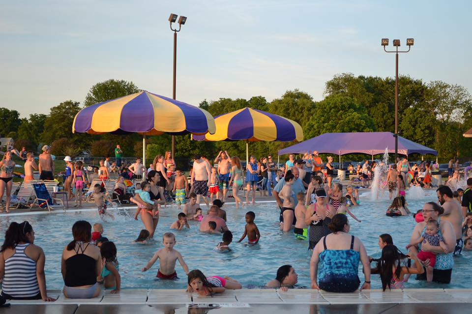 Doggie Day action shot of animal playing in the pool