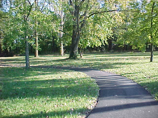 Walking Track